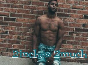 2inches_2much