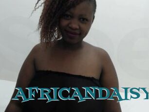 AFRICANDAISY