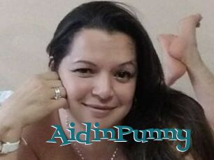 AidinPunny