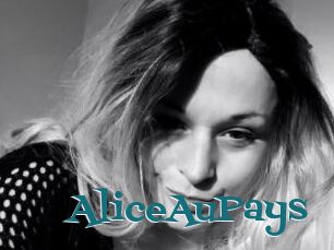 AliceAuPays