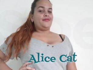Alice_Cat