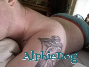 Alphie_Dog