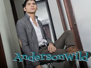 AndersonWild
