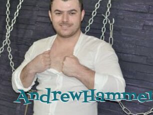 AndrewHammer