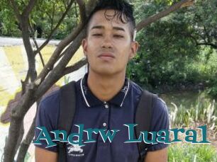 Andrw_Luara1