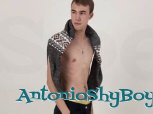 AntonioShyBoy