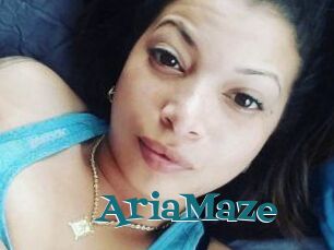 Aria_Maze