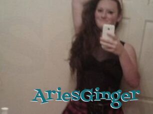 AriesGinger
