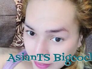 AsianTS_Bigcock