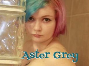 Aster_Grey