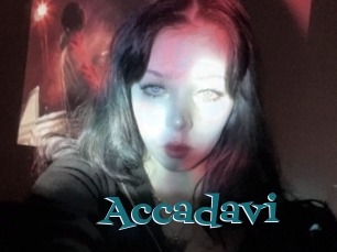 Accadavi