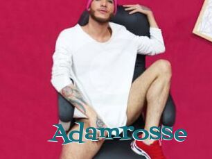 Adamrosse
