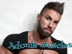 Adonis_muscles