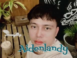 Aidenlandy