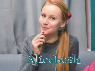 Alicebush