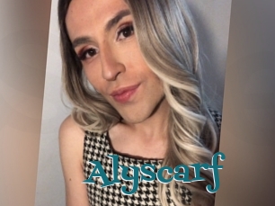 Alyscarf