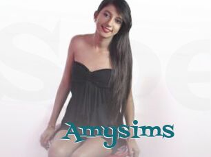 Amysims