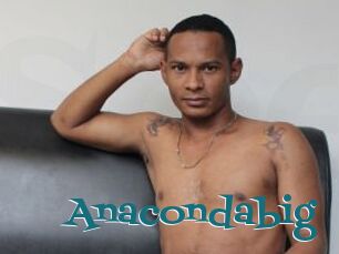 Anacondabig