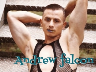 Andrew_falcon