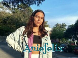 Aniefelix