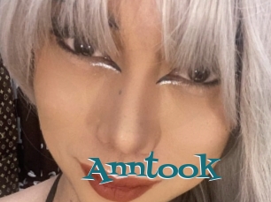 Anntook