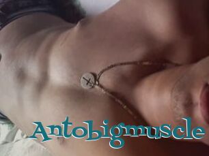 Antobigmuscle