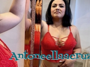 Antoneellaacruz