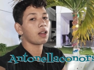 Antonellaconors