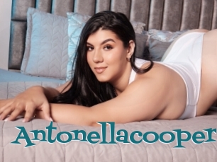 Antonellacoopers