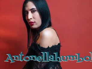 Antonellahumbolt