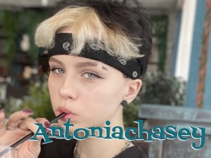Antoniachasey