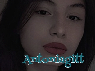 Antoniagitt