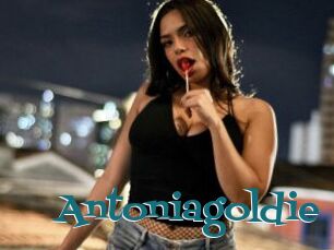 Antoniagoldie