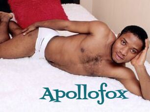 Apollofox