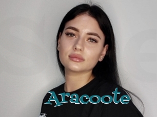 Aracoote