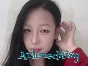 Arlenedaisy