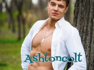 Ashtoncolt