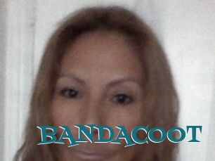 BANDACOOT