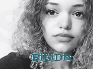 BibiDix