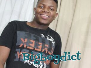 Bigboydict
