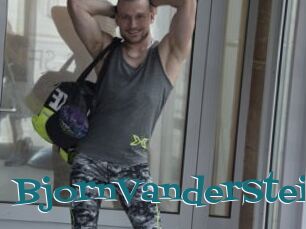 BjornVanderStein