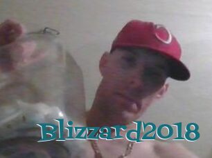 Blizzard2018