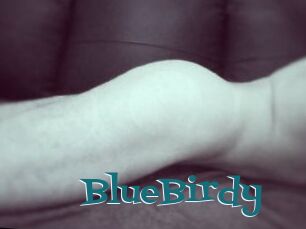 BlueBirdy