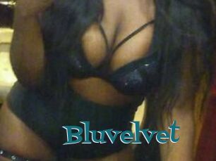 Bluvelvet