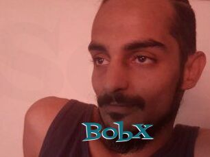 BobX