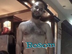 Bosom