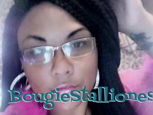 BougieStallionest