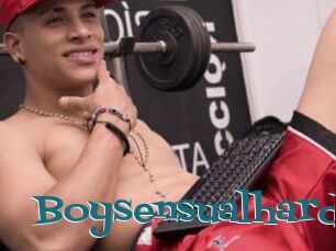 Boysensualhard