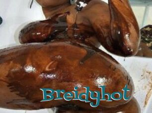 Breidyhot