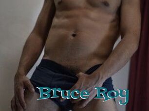 Bruce_Roy